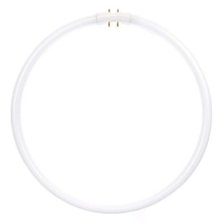 Circle bulb online