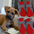 thumbnail image 3 of Zapatos antideslizantes para perros, zapatillas impermeables para cachorros, botines deportivos informales para mascotas, suministros, 3 of 8