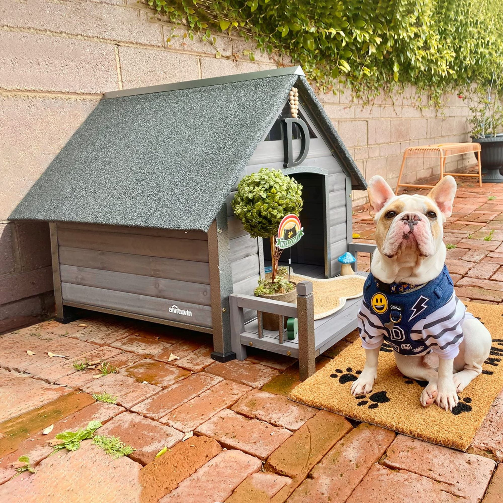 Aivituvin Outdoor Dog House, Puppy Shelter, Anti-Bite Design for Medium Dogs with Porch
