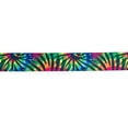 thumbnail image 3 of Country Brook Design® 2 inch Tie Dye Stripes Polyester Webbing, 5 Yards, 3 of 5