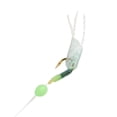 thumbnail image 3 of Appâts Rigs 10 Hameçons Pêche Leurres à Plumes Appâts de Hareng de Mer Hameçons à Corde, 3 of 8