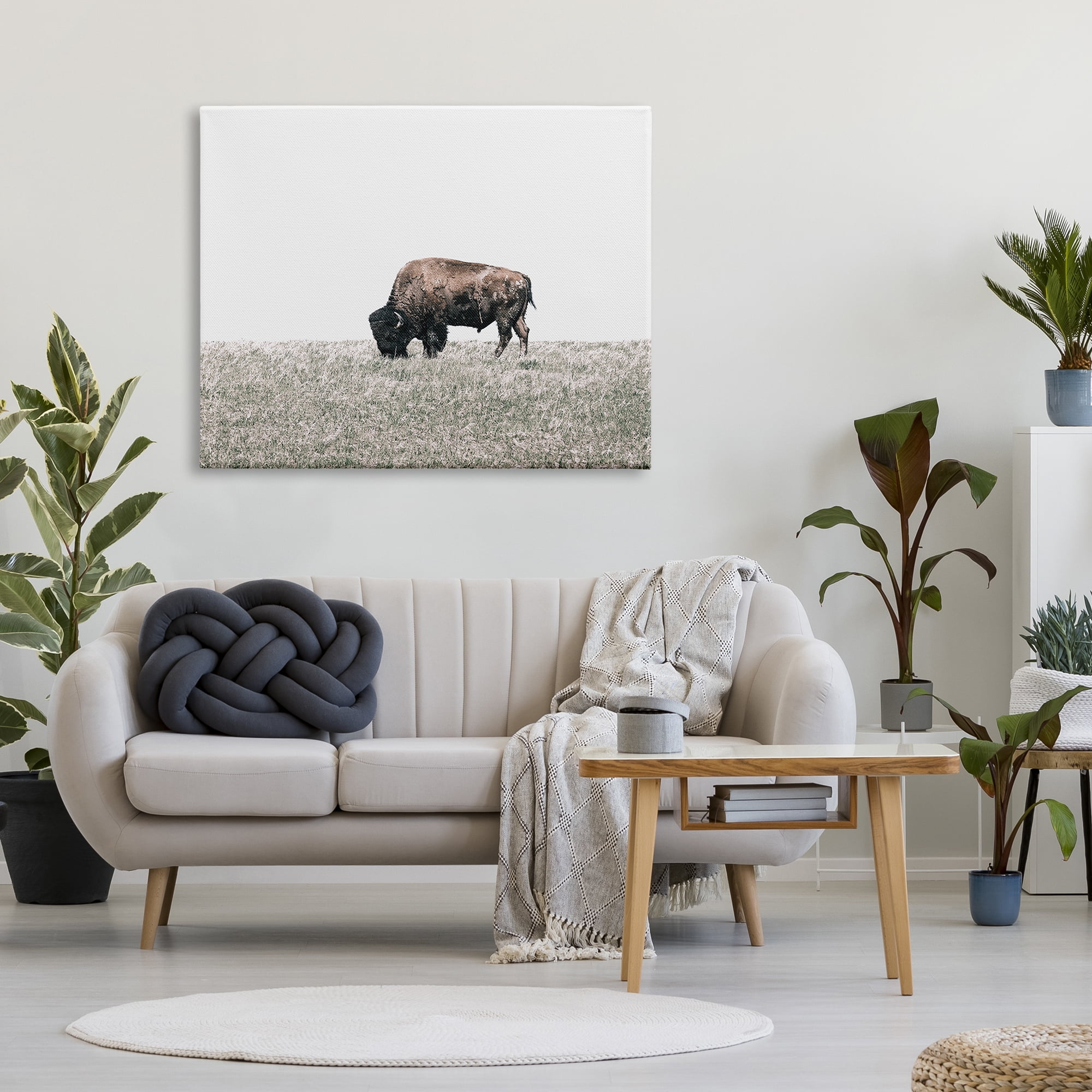 Stupell Industries Buffalo Grazing Pasture Animals & Insects Photography Gallery Wrapped Canvas Art Print Wall Art, 48 x 36