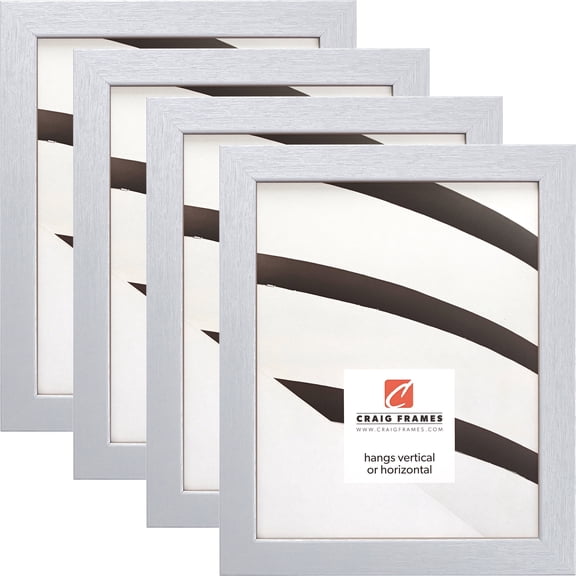 Craig Frames Essentials, 12x36 inch Picture Frame, Brushed Silver, Set of 4