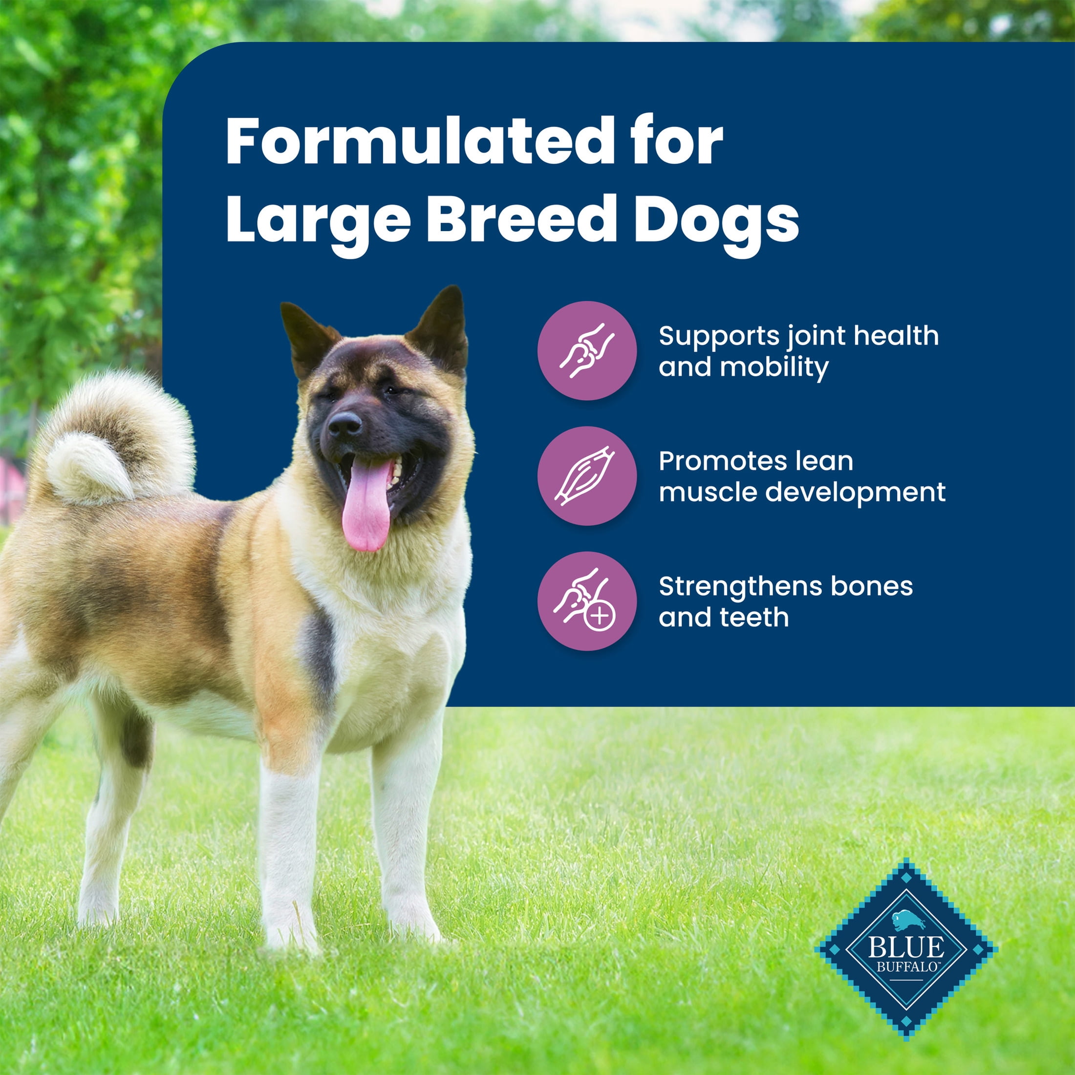 Blue Buffalo Life Protection Formula Large Breed Dry Dog Food, Lamb & Rice, 34-lb. Bag