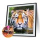 thumbnail image 4 of Resina diamante tigre JShteea diamante 30*30 CM, 4 of 9