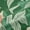 Green Pink, variant on Castle Fairy Teens Children Pink Flower Cherry Blossom Black Out Curtains,Botanical Plants Curtains Pack Of 2 (42X63 Each),Chic Floral Sakura Bedroom Curtains,Ultra Soft Home Decor