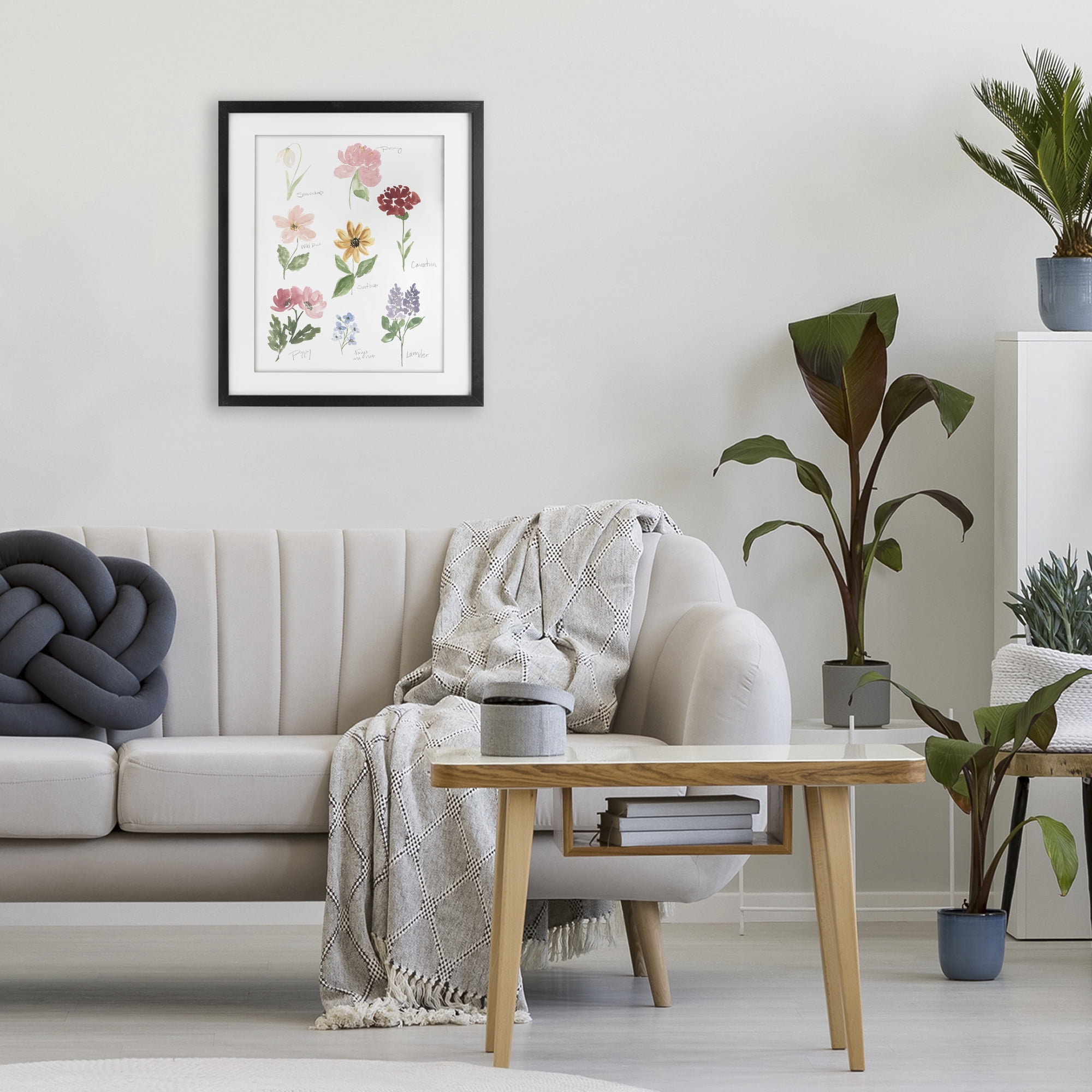 Stupell Industries Labeled Flower Varieties Black Framed Print Under Glass, design by Lucille Price