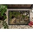 thumbnail image 3 of Carolines Treasures BDBA0136MAT Rabbits & the Rabbit Hole Indoor or Outdoor Mat- 18 x 27, 3 of 4