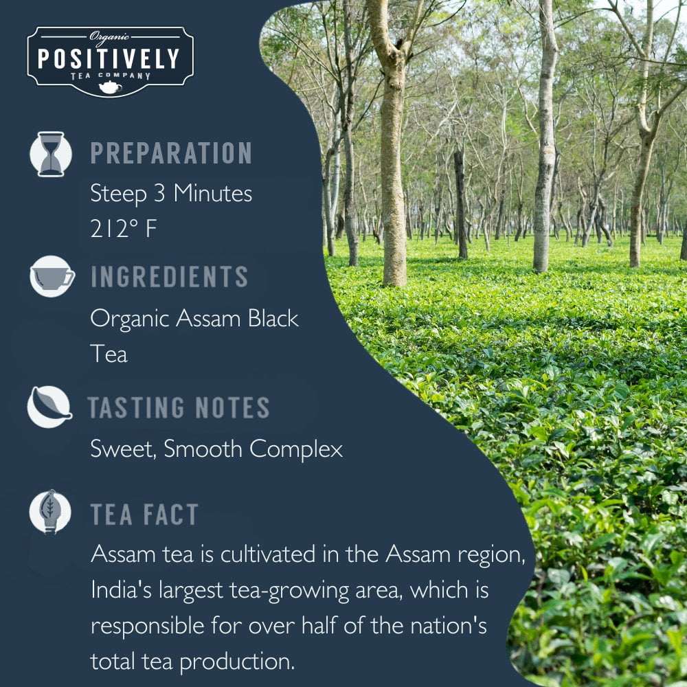 Positively Tea's Organic Assam Tea, Black Tea Bags, 120 CT Tea Bags 6 Boxes