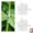 Clear*100, variant on Silicone Grafting Sleeves for Fruit Trees, High-Elastic Thin-Walled Grafting Tubes, Professional Plant Grafting Tape for Plants, Broken Stem, Floral(1Pcs)