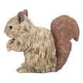 thumbnail image 5 of Hi-Line Gift 87650-I Squirrel Driftwood Look, 5 of 7