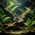 thumbnail image 6 of Glow In The Dark Lionfish Aquarium Decoration, Silicone Artificial Fish Ornament With Suction Cup Mount Luminous Underwater Landscape Decor For Freshwater Saltwater Fish Tank, 6 of 6