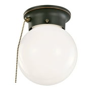 Ceiling Lights With Pull Chains