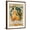 Brown Frame, variant on Art.com 1904 St. Louis World's Fair Poster Art Print by Alphonse Mucha, 12" x 16"