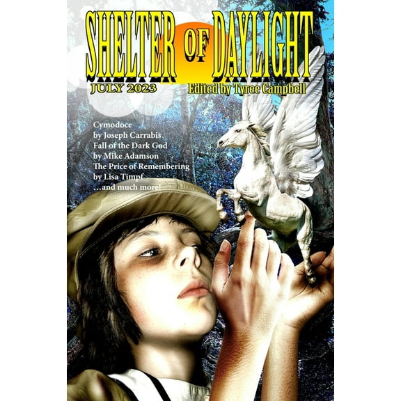 Shelter of Daylight July 2023, (Paperback)