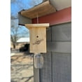 thumbnail image 3 of Carpenter Bee Trap, 3 of 5