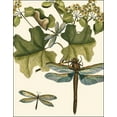 thumbnail image 2 of Vision Studio 26x32 Gold Ornate Wood Framed with Double Matting Museum Art Print Titled - Dragonfly Medley II, 2 of 4