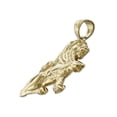 thumbnail image 4 of 14K Gold 30MM Lion Pendant, 4 of 5