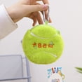 thumbnail image 1 of Poupée Capybara Véritable Poupée Jouet en Peluche Oreiller Cadeau d'Anniversaire Célébrité Internet Ragdoll DMH, 1 of 7