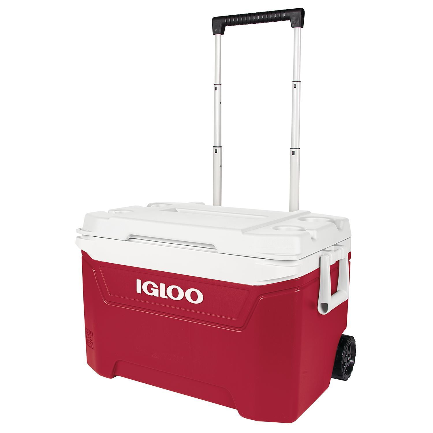 tailgate coolers
