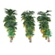 thumbnail image 3 of 15 Uds. Modelo de Plantas de Palmeras, Accesorios para Plantas, , Tren, Ferrocarril, Paisaje, Diorama O, 3 of 9