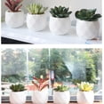 thumbnail image 5 of Modern Geometric Ceramic Pots Various Realistic Succulents, Set of 4, 5 of 5
