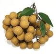 thumbnail image 1 of Artificial Fruit Lifelike Creative Decorative Fake Fruit Photography Prop, 1 of 7