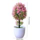 thumbnail image 3 of Decoraciones de Pascua, adornos de Pascua, plantas artificiales de Pascua, bonsáis, pequeñas plantas verdes en macetas, flores, bolas de árbol, adornos de escritorio, mini plantas bonsái, plantas de s, 3 of 8