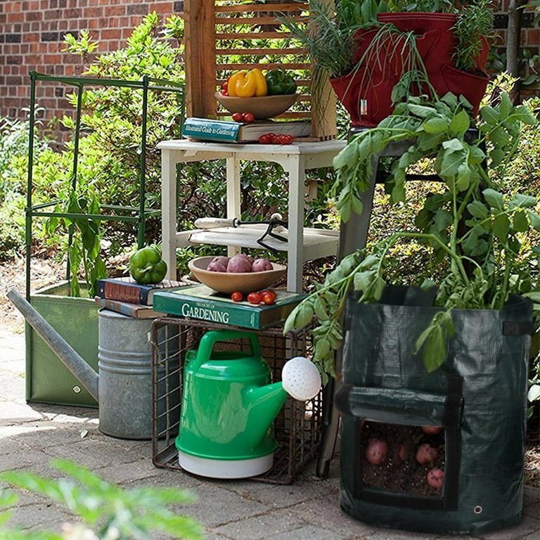 10 Gallon Potato Grow Bags with Flap and Handles - Aeration Tomato Fabric Plant Pots - Garden Bag Planter Pots - Vegetable Growing Bags Outdoor (2 Pcs