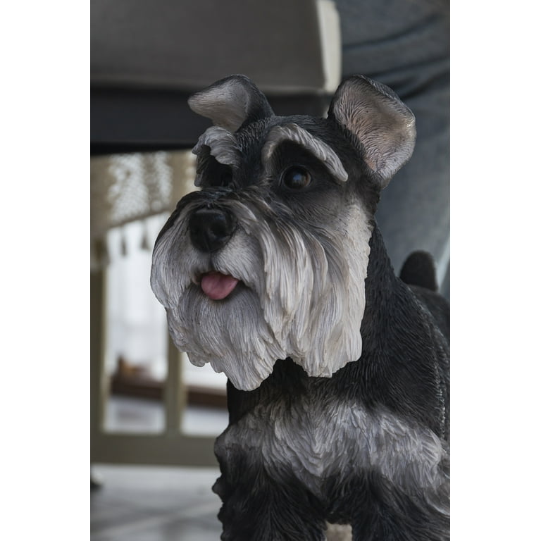 Hi-Line Gift 8” Miniature Schnauzer Garden Statue, Durable