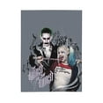 thumbnail image 2 of Film Harley Quinn Joker Thick Blanket Cozy Soft Fuzzy Anti-pilling Flannel Throw Blanket Warm Sofa Bed Blanket 80"x60" For Adult Teen Kids, 2 of 8