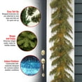 thumbnail image 5 of National Tree Company Artificial Christmas Garland, Green, Tiffany Fir, White Lights, Christmas Collection, 9 Feet, 5 of 5