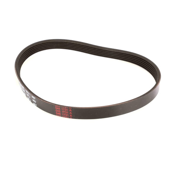 BLENDER BELT 990028801 - Genuine OEM Replacement Part