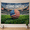 D, variant on XaaKee Tapestry Wall Hanging, Athletic Freedom Art Sports Theme Bedroom Tapestry, High-Quality Polyester Large Wall Tapestry For Living Room, 60x40Inch