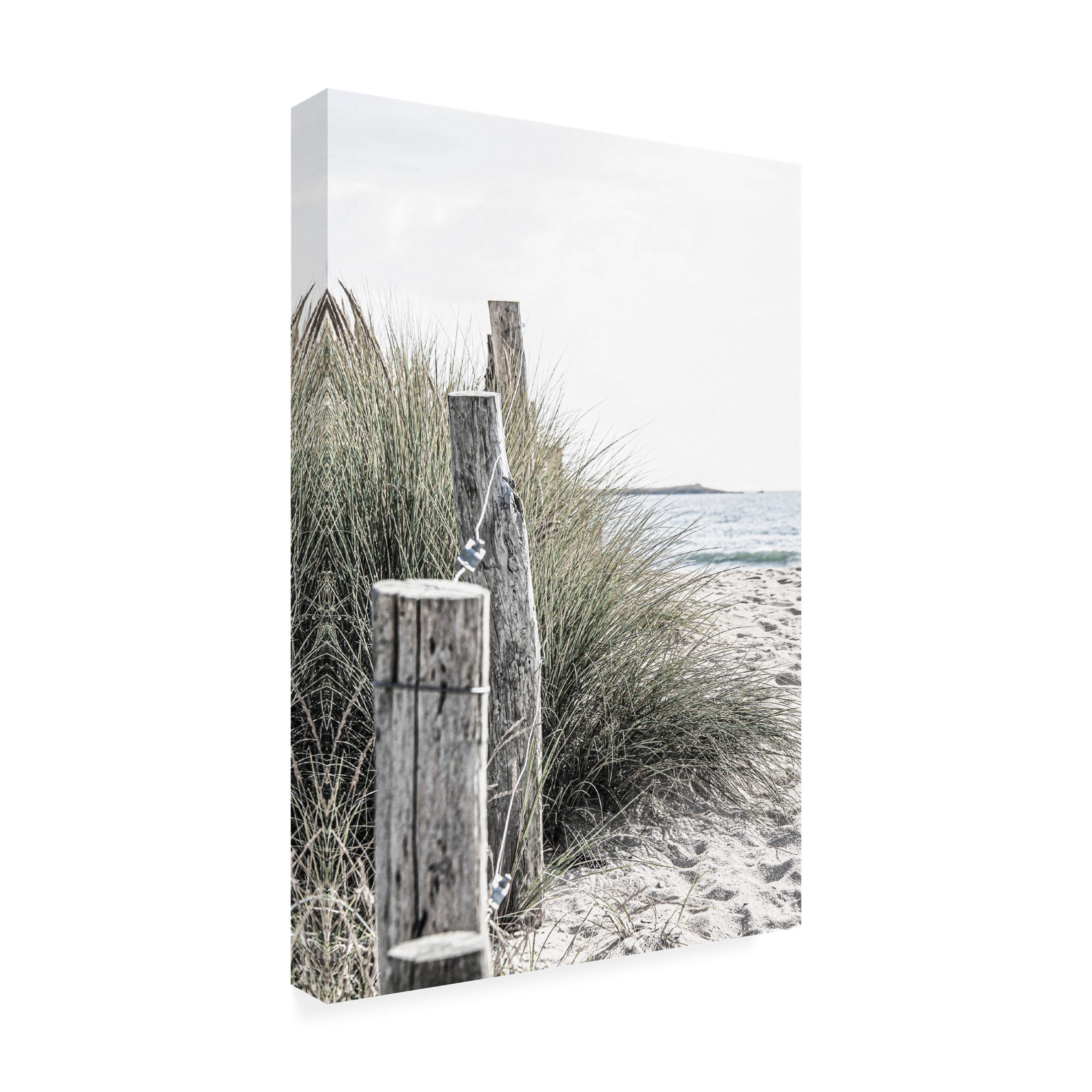 Canvas Wall Art - Incado 'Coastal V' Wall Art for Living Room, Bedroom, or Office Décor by Trademark Fine Art - 22 x 32 Inches