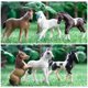 thumbnail image 2 of Juego de muñecos de animales Toymany Horse, 3-4 pulgadas, 6 unidades para niños, 2 of 9