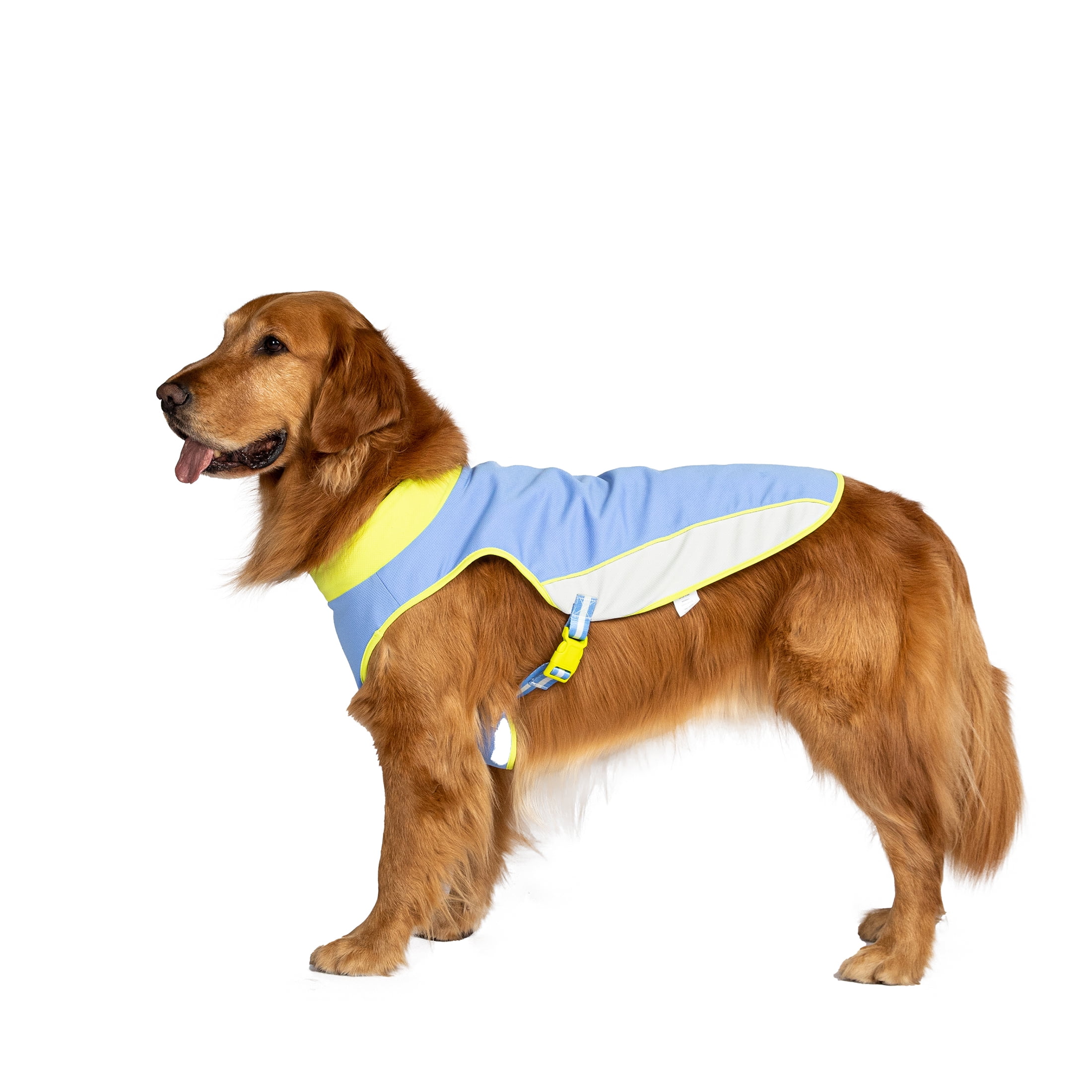 Vibrant Life Summer Cooling Vest for Cats and Dogs, Blue, Extra Small