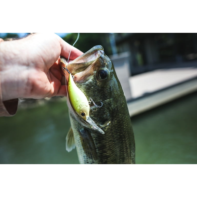 daiwa bg reel size comparison Daiwa