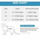 thumbnail image 4 of Katzengeschirr und Leine, ultraleichtes Kätzchenhalsband, weiche und bequeme Laufjacke für Katzen, Laufen, auslaufsicher, geeignet für Kaninchenwelpen (Blau, S) TUNC Sencillez, 4 of 5