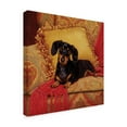 thumbnail image 2 of Trademark Fine Art 'Comfy' Canvas Art by Christopher Nick, 2 of 3