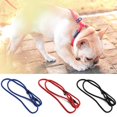 thumbnail image 2 of Nylon Dog Leash Dog Traction Belt Pet Harness Straps Pet Supplies for Walk Outdoor Training Accessories He Qiyong unisex, 2 of 2