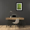 thumbnail image 3 of Welling, Dave 17x24 Black Ornate Wood Framed with Double Matting Museum Art Print Titled - Mexico, Tamaulipas Pair of green parakeets preen, 3 of 4