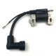 thumbnail image 3 of Riwesomey Máquina de bobina de encendido para cortacésped de jardín, accesorios de repuesto para motor de cortacésped Mountfield RM55/RM65/SP474 Jardín y Patio Riwesomey TO001398-00, 3 of 6