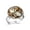 Multi 5, variant on Cute Footprints Wooden Board Stainless Steel Rings for Women, Open Adjustable Ring Promise Ring Jewelry Gifts
