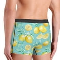 thumbnail image 5 of Bingfone Yellow Lemon Men'S Underwear - Casual Stretch Boxer Briefs-Small, 5 of 9