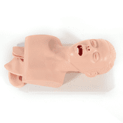 Anqidi PVC Intubation Manikin Study Teaching Model, Adult Oral Nasal Intubation Airway Management Trainer Tracheal Simulator 220V