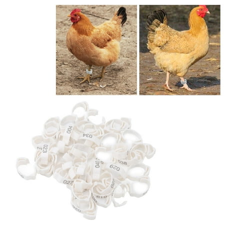 Bandes De Pattes De Volaille, 50Pcs En Plastique Numérotées Bandes D'Identification Rétractables