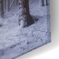 thumbnail image 3 of Epic Art 'Red Woods' by Martin Podt, Acrylic Glass Wall Art, 24"x16", 3 of 8