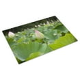 thumbnail image 3 of Print: Kenilworth Park And Aquatic Gardens, Also Known As Anacostia Park, 3 of 4