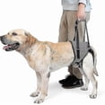 thumbnail image 1 of Dog Sling For Dogs Hind Leg To Rehabilitate The Hind Limbs Of Elderly Dogs With Weak Hind Legs Disabilities, 1 of 5